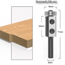 Фреза №120F 19×30×8 з смінними ножами